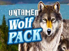 untamed wolf pack