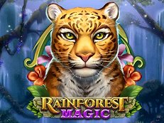 rainforest magic